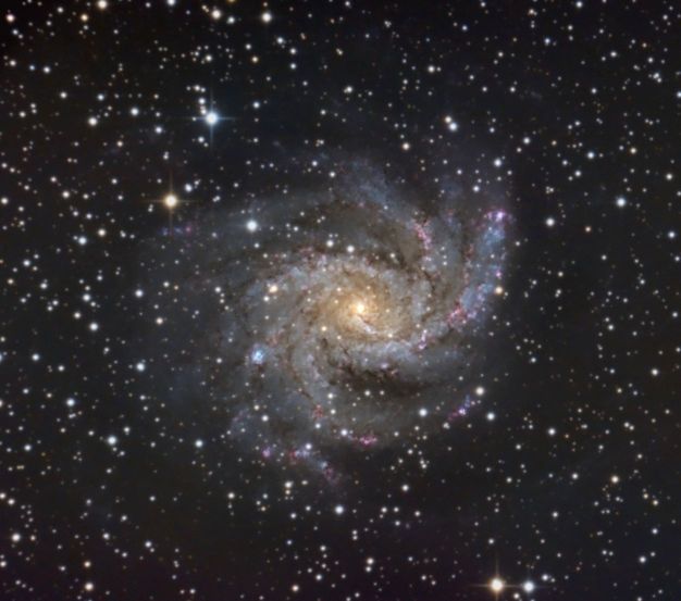 NGC2264 Weihnachtsbaumsternhaufen SH kl