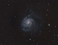 M101