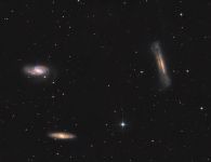 Leo Triplett