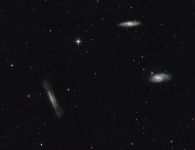 Leo Triplett