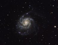 M101