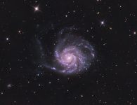 M101