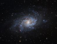 M33