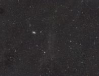 M81 und M82 mit 135mm Brennweite M81 und M82 mit 135mm Brennweite