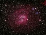 IC410 ''Kaulquappennebel''