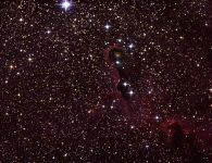 IC 1396A ''Elefantenrüsselnebel''