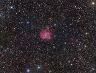 Affenkopfnebel - NGC 2174