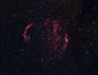 Cygnus Loop (Schleiernebel) 