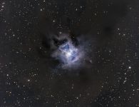 Irisnebel