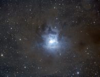 Irisnebel