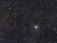 Irisnebel NGC 7023 und Umgebung