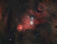 NGC 2264 Weihnachtsbaum Sternhaufen mit Konusnebel