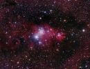 NGC 2264