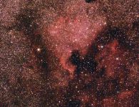 NGC7000 Nordamerikanebel