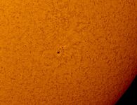 Sonnenfleck in H-Alpha 2020-06-11