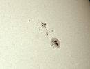 Sonne 28.2.23 - Sonnenfleckernregion 3234