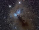 Corona Australis - NGC6723 / 6726 / 6727 / 6729