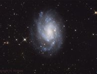 NGC 300 und Umgebung