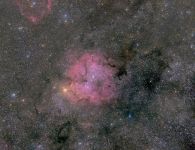 IC1396 - Elefantenrüsselnebel